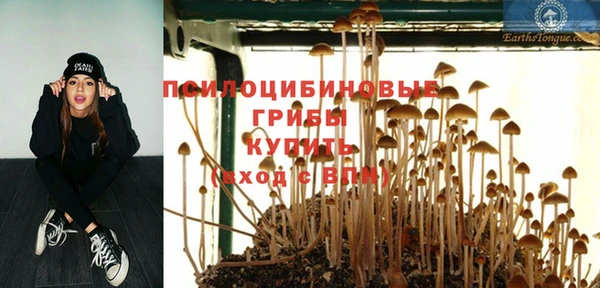 трава Арсеньев