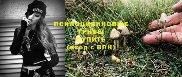 спиды Армянск