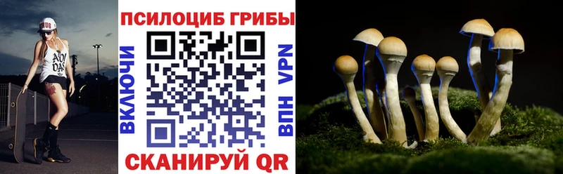 закладка  Тверь  mega ТОР  Галлюциногенные грибы прущие грибы 